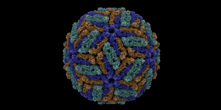 Illustration for article titled Are We At The Dawn Of The Age of Epidemics?